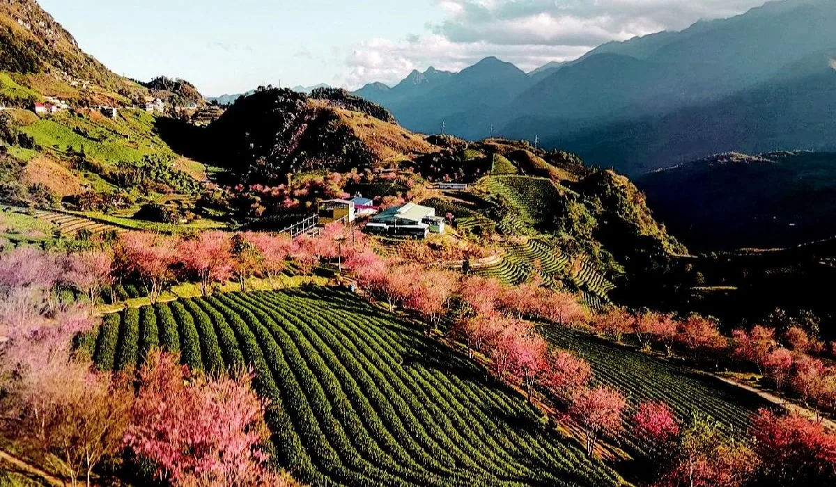 Sapa trekking moment 46 with local guide Nhu
