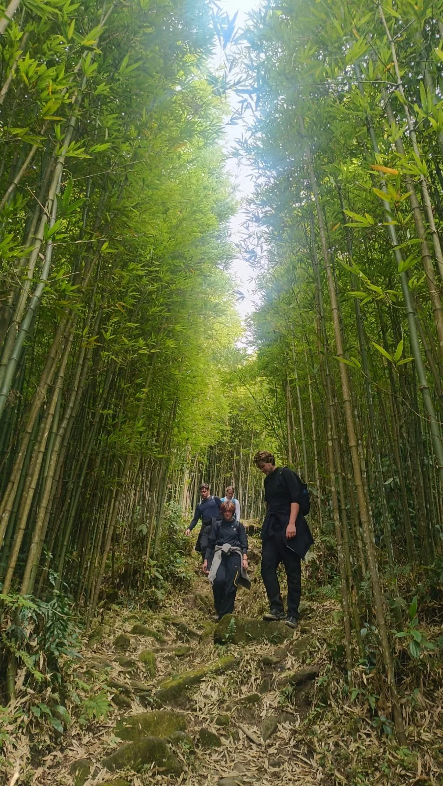 Sapa trekking moment 5 with local guide Nhu
