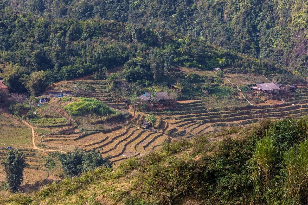Sapa trekking moment 6 with local guide Nhu